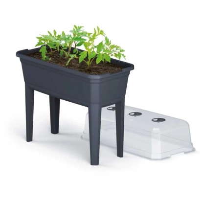 Set aiuola rialzata per coltivazione Ecoline (HxLxP) 963 x 770 x 368 cm