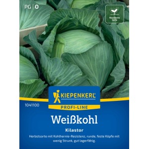 Semences de chou blanc Kiepenkerl Kilastor F1 : Chou cabus avec variété résistante et feuilles vertes.