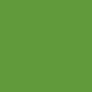 Campione di colore: Vernice spray brillante OBI in verde giallastro (RAL 6018).