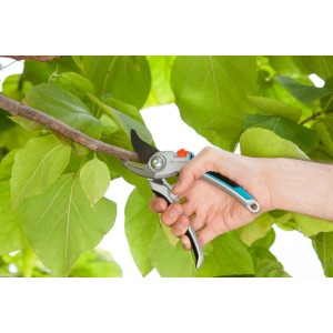 Forbici da giardino Gardena B/L Alu in uso: mano taglia ramo con sistema bypass.