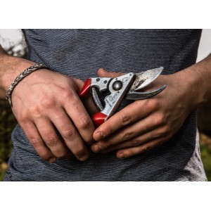 Forbici da giardino Felco 8 nelle mani, ideali per potare alberi e viti con taglio preciso.