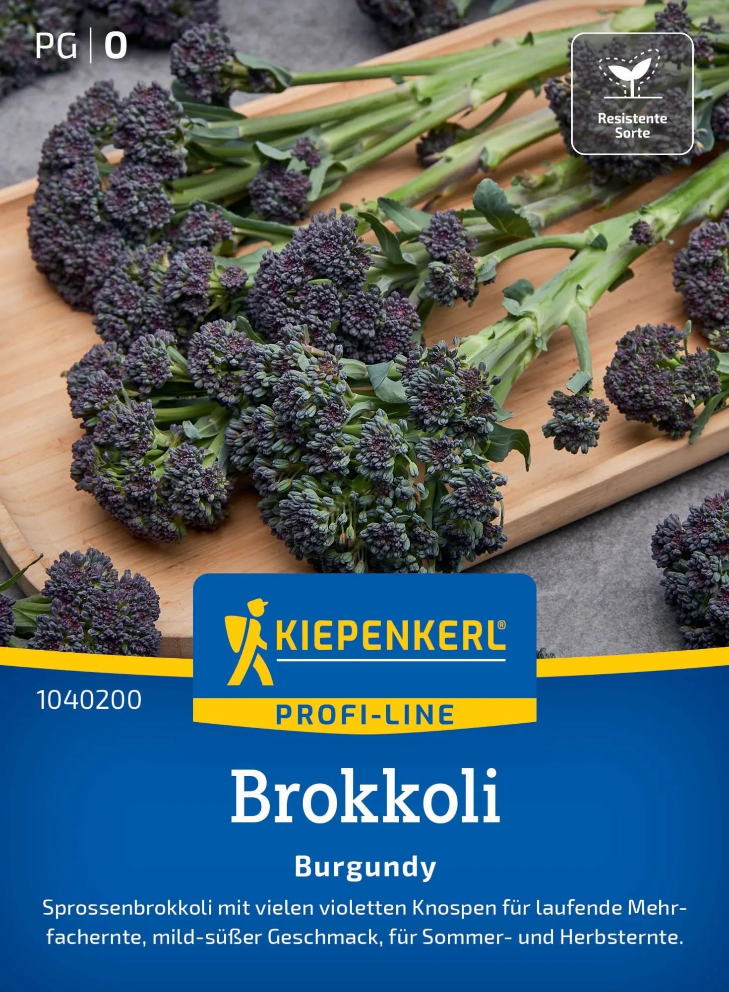 Kiepenkerl Saatgut Brokkoli Burgundy 12 Pflanzen