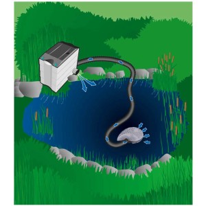 Illustrazione di una pompa per filtri e ruscelli da 7000 l/h in uso in uno stagno.