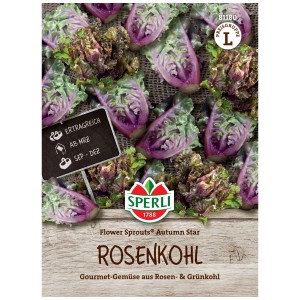 Sperli Graines Choux de Bruxelles Flower Sprouts® Autumn Star, 20 plants. Légume gourmet pour massifs et jardins.