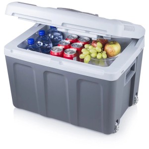 Graue Tristar Kühlbox KB-7540 (40 l) mit Getränken und Obst, Deckel geöffnet.