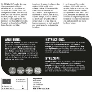 Emballage du mélange de renoncules GROW by OBI Asiaticus, bulbes de fleurs avec instructions de plantation.