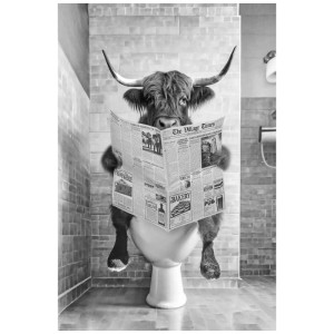 Maxiposter Highlander Toilet: Schwarz-weißes Poster eines Highland Rinds auf der Toilette, Zeitung lesend.