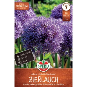 Ail d'ornement Sperli Dutchman, fleurs violettes sur l'emballage.