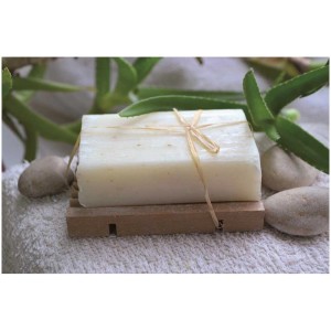 Vegane Glycerin-Seife Öko Opak Aloe Vera, 1500g, auf Holzablage mit Aloe Vera Pflanze und Steinen.
