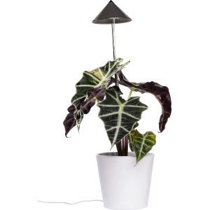 Parus Lampada LED per piante Sunlite, 7W, antracite, con asta telescopica in vaso bianco per coltivazione.