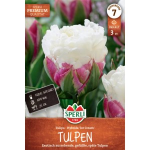 Sperli Blumenzwiebel 'Ice Cream': gefüllte, späte Tulpe mit weiß-roten Blüten.
