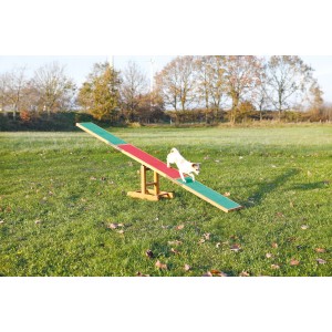 Altalena per cani Trixie per agility training, 300 cm, con cane sull'altalena.