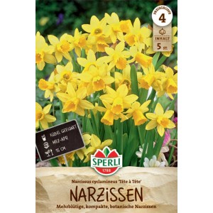 Sperli Narzisse 'Tête à Tête': Gelbe, mehrblütige Zwergnarzissen, geeignet für Beet und Kübel.