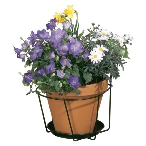 Gancio portavaso antracite (Ø 20cm) con vaso piantato. Vaso sospeso senza montaggio.