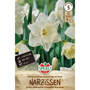 Verpackung Trompeten-Narzisse 'Mount Hood' von Sperli mit reinweißen Blüten.
