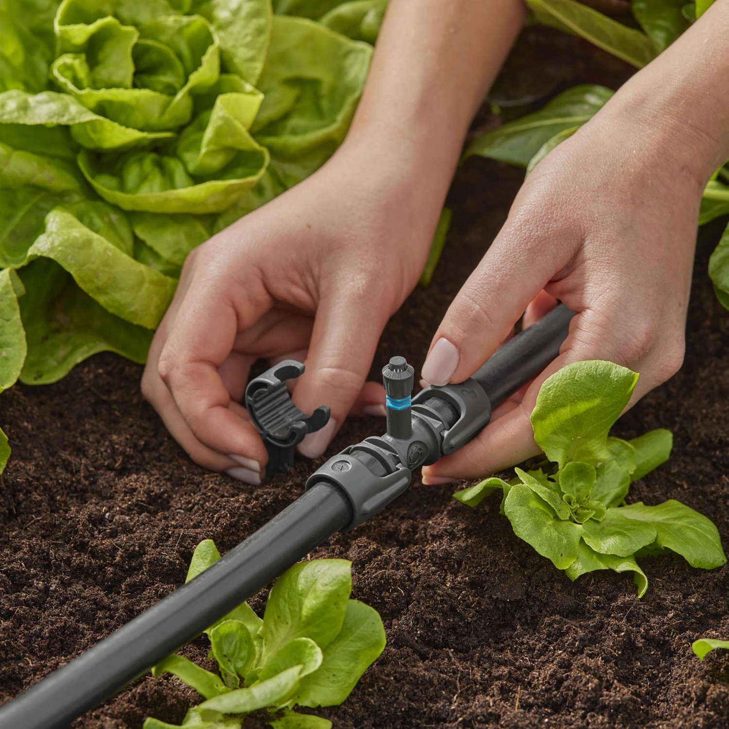 Gardena Sprühdüse 360°Bewässerung 5 Stk. kaufen bei OBI