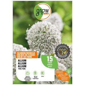 Bulbe d'oignon d'ornement 'Ping Pong' GROW by OBI, fleur blanche sphérique, env. 80 cm de haut.