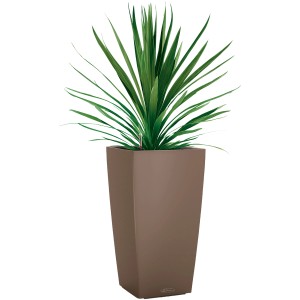 Pot de fleurs Lechuza Cubico Color 22 Muskat avec plante verte.