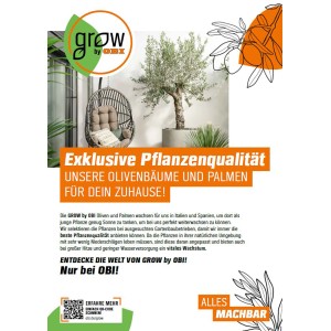 GROW by OBI Mix de palmiers, différentes variétés en pot, hauteur 60-80 cm.