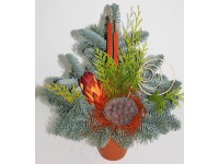 Waldtopf Nobilis Orange Ø 20 cm