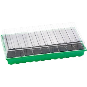 Serre d'intérieur avec 36 godets, plateau vert, couvercle transparent. Idéal pour la propagation des plantes.