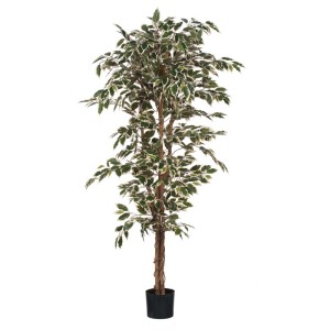 Mica Decorations Kunstpflanze Ficus, grün-bunt, 170 cm hoch, im Topf. Dekorative Zimmerpflanze.