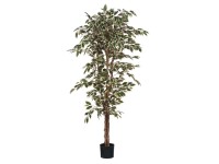 Mica Decorations Kunstpflanze Ficus Grün-Bunt Topf Ø 80 cm / Höhe 170 cm