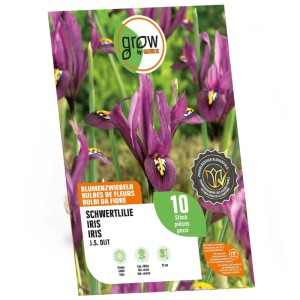 GROW by OBI Iris J.S. Dijt Viola, 10 bulbi da fiore. Fiori di iris viola con occhio giallo sulla confezione.
