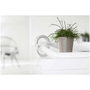 Petit pot de fleurs Ecopots Amsterdam Mini taupe avec plante sur surface blanche.