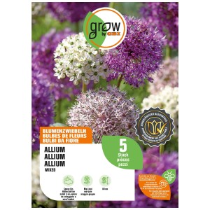 Emballage GROW by OBI Ail d'ornement Purple Sensation mélange, fleurs violettes et blanches, 80cm de haut.