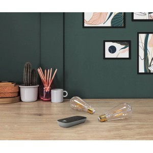 Eglo LED Lampadina a filamento ST64, set da 2 con telecomando, luce bianca calda.