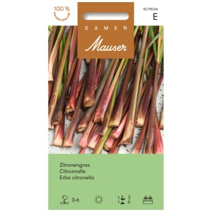 Confezione di semi di citronella: Steli con fusti rossastri e punte verdi.