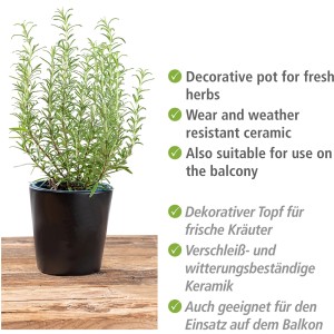 Pot à herbes noir Wenko Kuro en céramique avec romarin, idéal pour cuisine & barbecue.