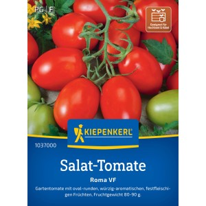 Tomate Roma Kiepenkerl : Tomates rouges en forme de prune sur la plante, idéales pour le grill.