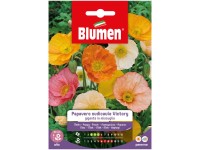 Blumen Mix Mohn Papaver Victory Blumen Mix Mohn Papaver Victory