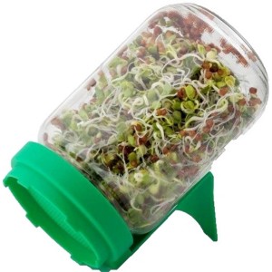 Germogliatore con setaccio e supporto verde, pieno di germogli.