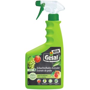 Gesal Estratto di equiseto 750ml in flacone spray verde per il rafforzamento delle piante.