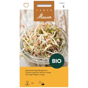 Semi di fagioli mung biologici in vetro, ideali per germogli.