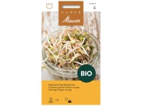 Keimsamen Mungbohnen