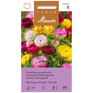 Sachet de graines d'immortelles à grandes fleurs en mélange de couleurs.
