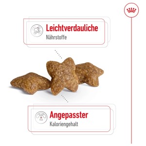 Royal Canin Mini Adult Alimento secco per cani di piccola taglia 8 kg
