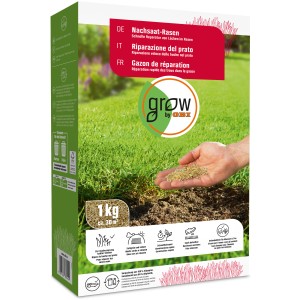 OBI Regarnissage gazon 1 kg : Emballage de graines pour réparer les pelouses.