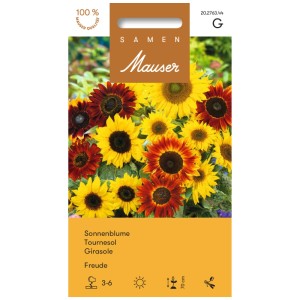 Graines de tournesol 'Freude' : Mélange coloré de tons jaunes, crème et acajou.