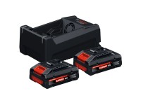 Bosch Professional Starter Set Expert 2 x EXBA18V-40 incl. GAL 12V/18V-80