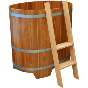Bain froid Weka en mélèze avec échelle et cerclages en acier pour sauna et bien-être.