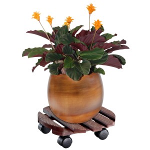 Wagner Multi Roller Country palissandro con pianta. Sottovaso a rotelle in legno con 4 ruote.