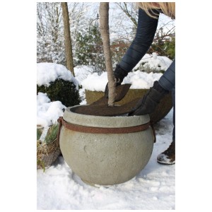 Nastro juta decorativo Videx Garden Stone avvolto attorno al tronco. Protezione pratica per piante in giardino d'inverno.
