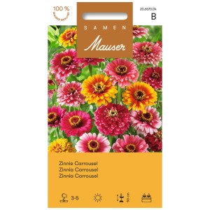 Graines de fleurs Zinnia Carrousel : Diverses fleurs de zinnia bicolores dans les tons jaunes et rouges.