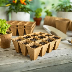 Pots de semis carrés, 4x4 cm, 36 pièces, remplis de terre, pour la propagation des plantes.