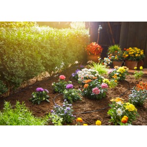 Gardena Micro-Drip-System Start Set per irrigare fiori e piante in giardino.